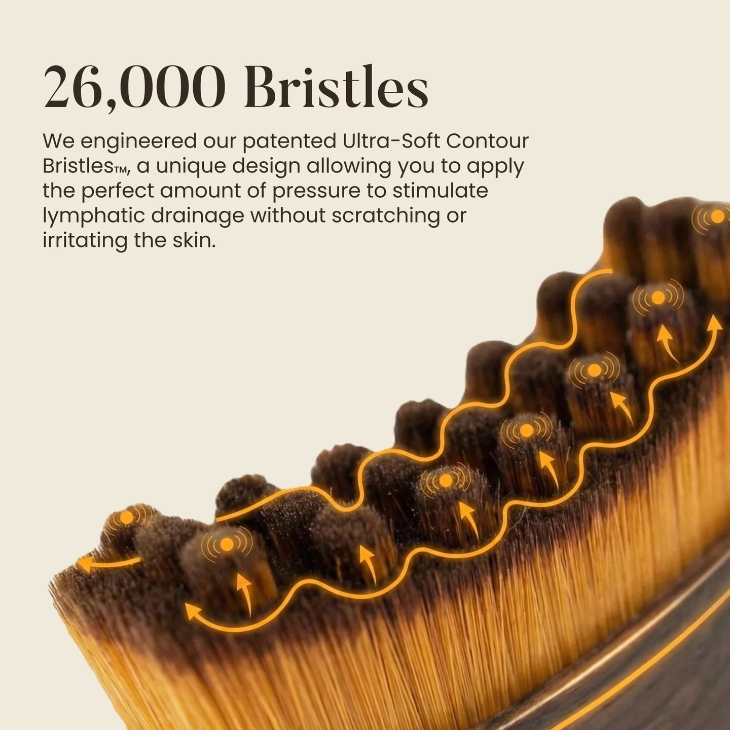 Ureazystore™ Lymphatic Contour Brush